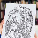 L'histoire du Bearded Collie Dog en dessin : le chien appelé Beardie