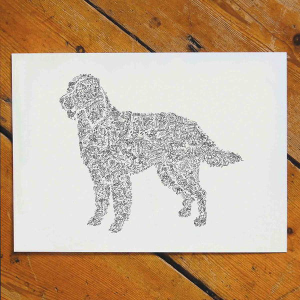 hand drawing dog french spaniel breed with fun facts