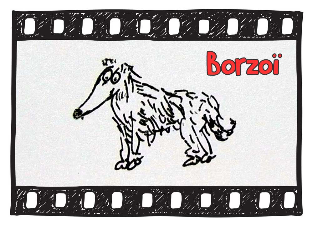 The Borzoi Illustrated : Fun Facts about the russian Wolfhound Dog 101