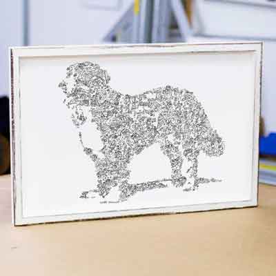 Facts about the great Bernese Mountain Dog - Illustrated with comics Mt St Breed