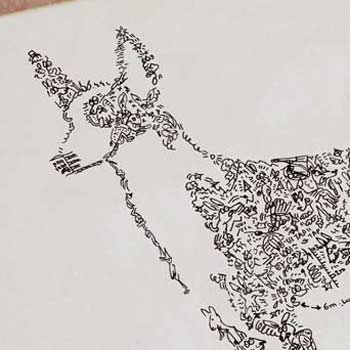 Dog Drawing Cartoon : The Podenco