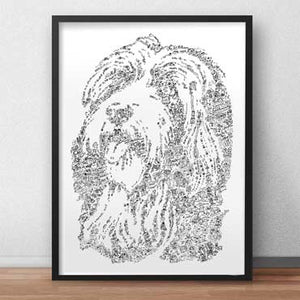 bearded collie poster