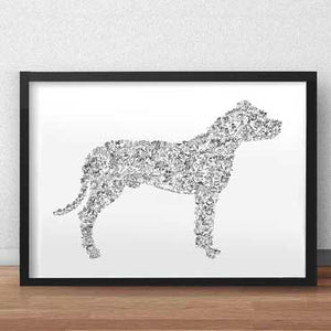 dogo argentino art print fun facts drawing
