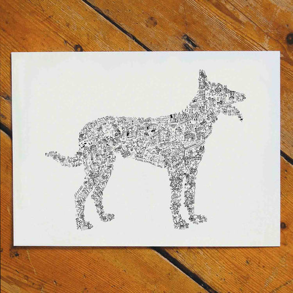 berger malinois dessin race chien detail caracteristiques