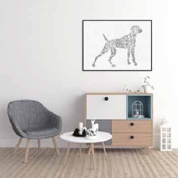 Weimaraner dog ink drawing with breed characteristics