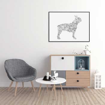  Boston Terrier poster affiche illustration