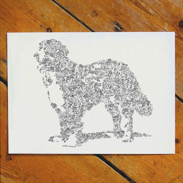 ink drawing bernese mountain dog with fun facts inside