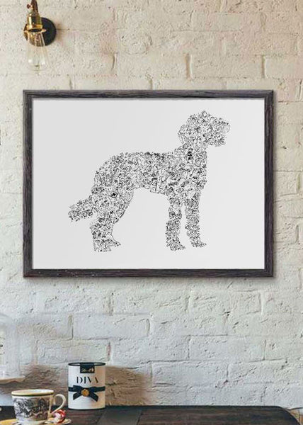 Labradoodle black and white ink drawing