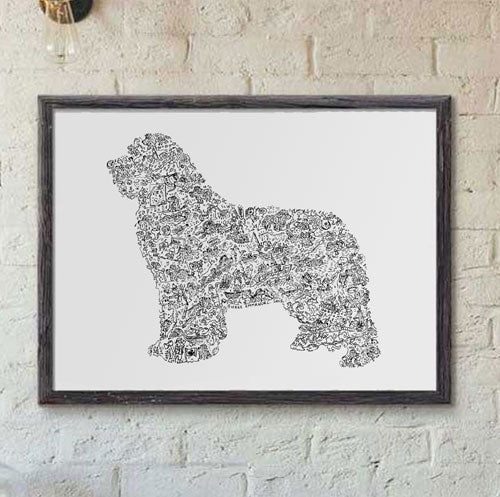 Newfoundland  dog breed print